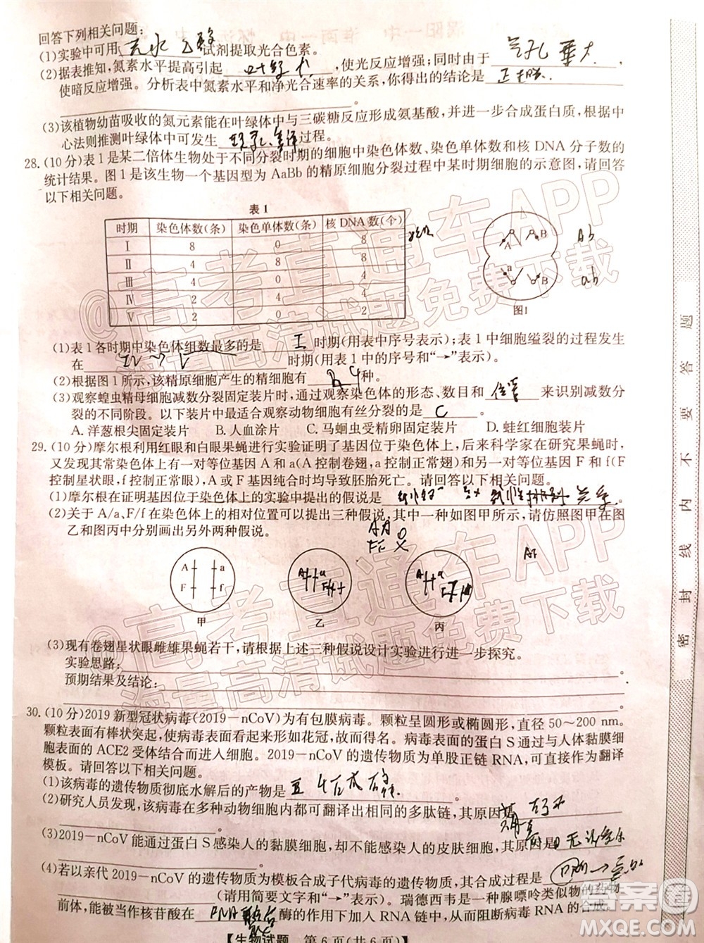 蒙城一中渦陽一中淮南一中懷遠一中潁上一中2022屆高三第一次五校聯考生物試題及答案