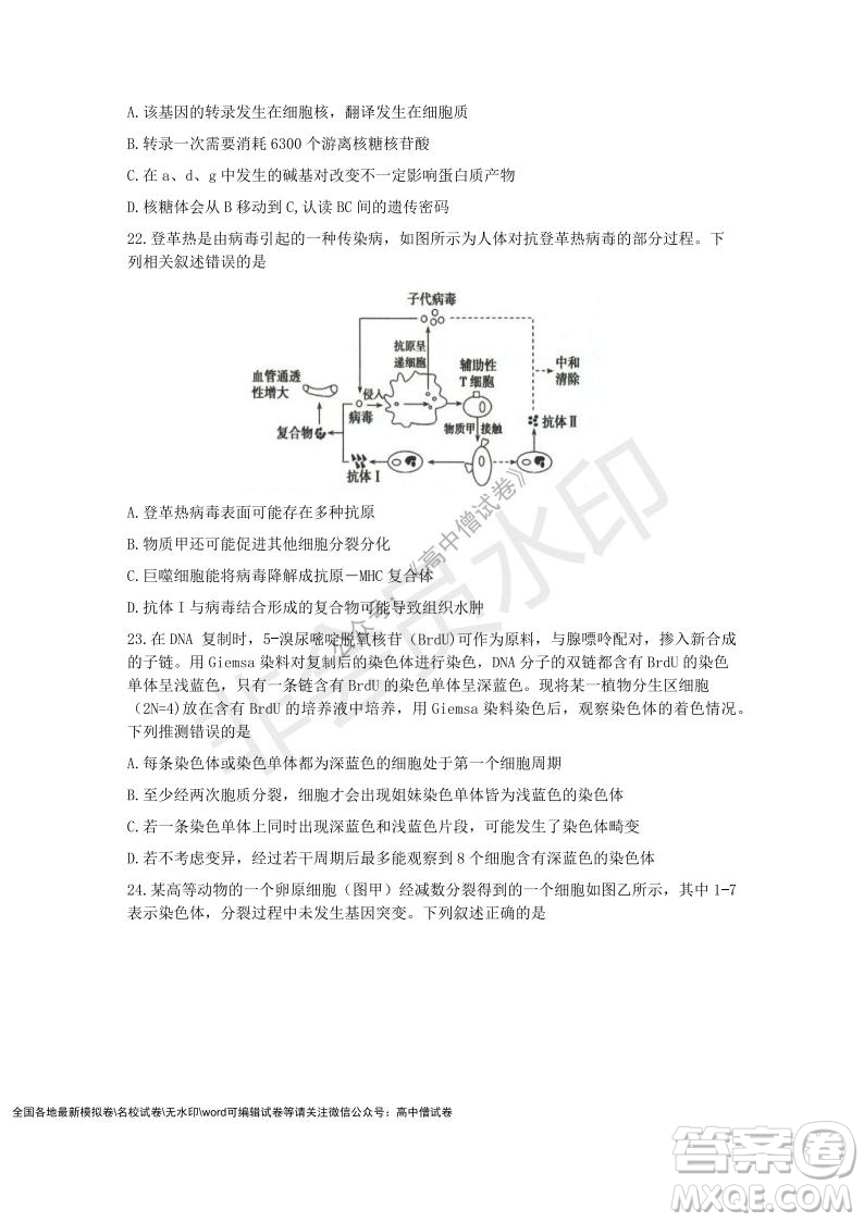 Z20名校聯(lián)盟2022屆高三第二次聯(lián)考生物試題及答案