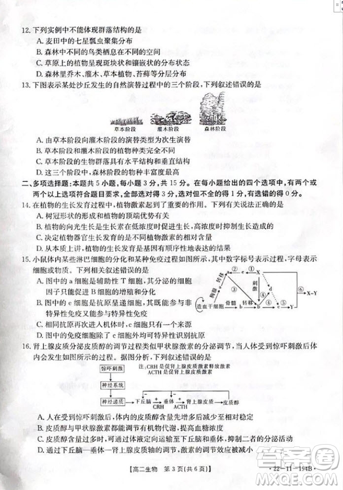 2021年河北金太陽高二12月聯(lián)考生物試題及答案