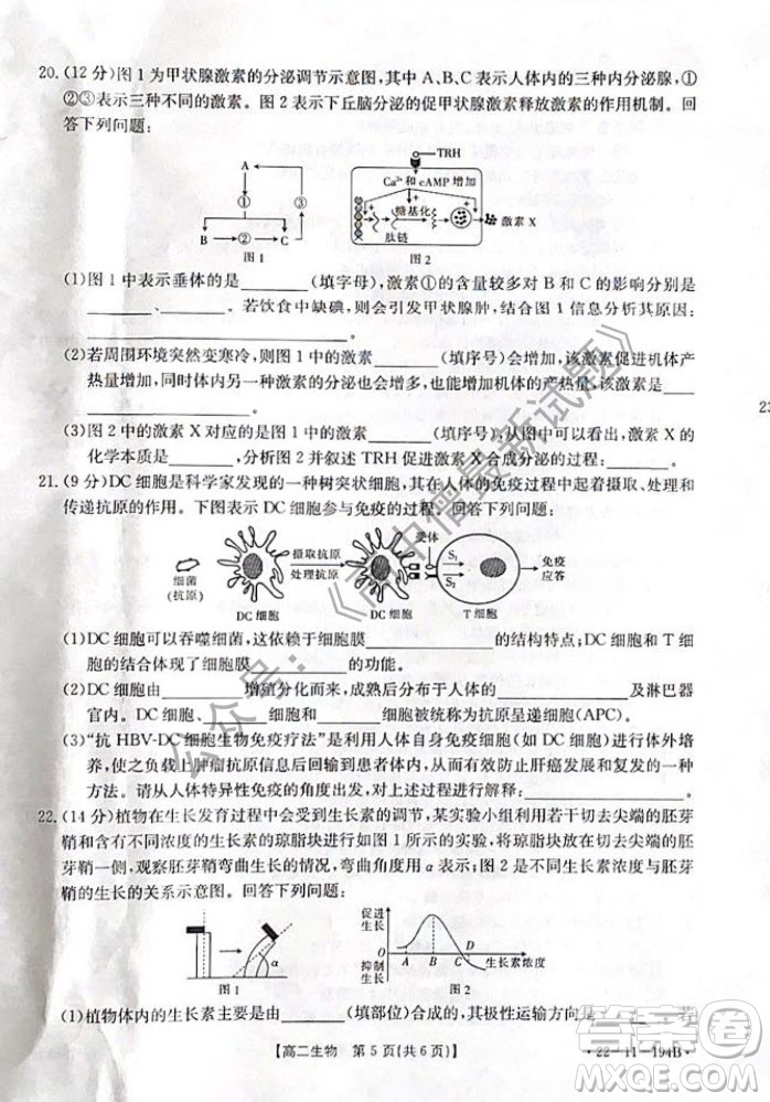 2021年河北金太陽高二12月聯(lián)考生物試題及答案