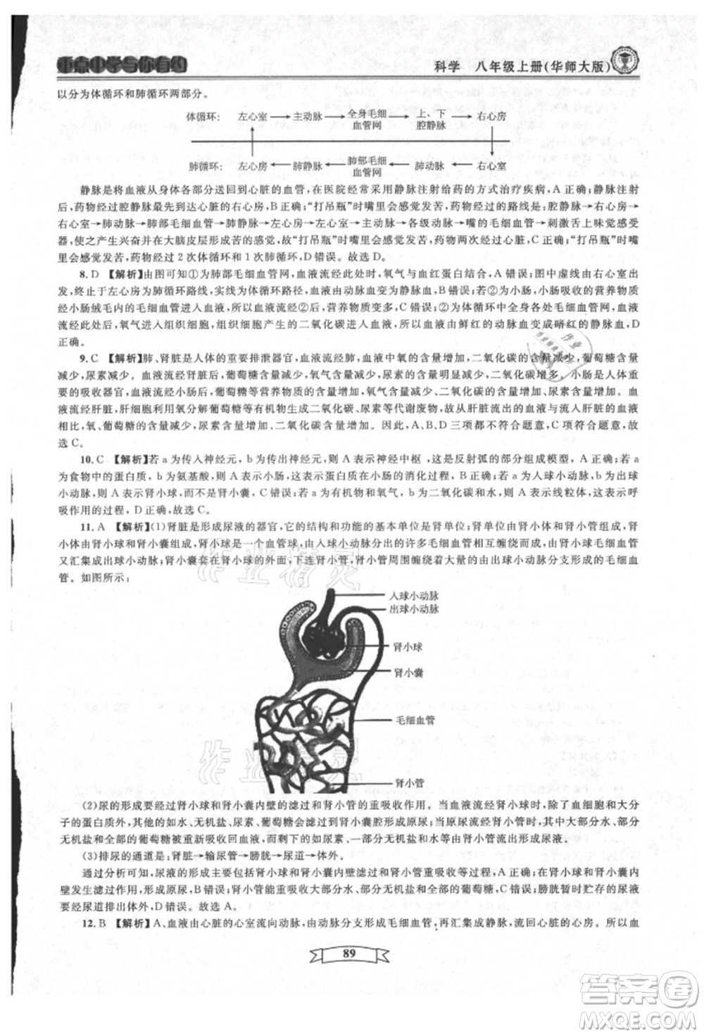 天津科學(xué)技術(shù)出版社2021重點中學(xué)與你有約八年級科學(xué)上冊華師大版參考答案