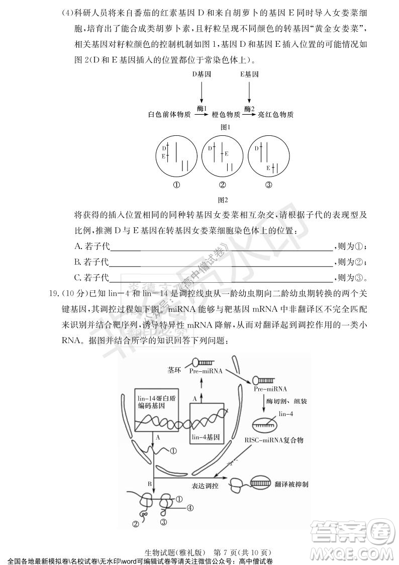 炎德英才大聯(lián)考雅禮中學(xué)2022屆高三月考試卷四生物試題及答案