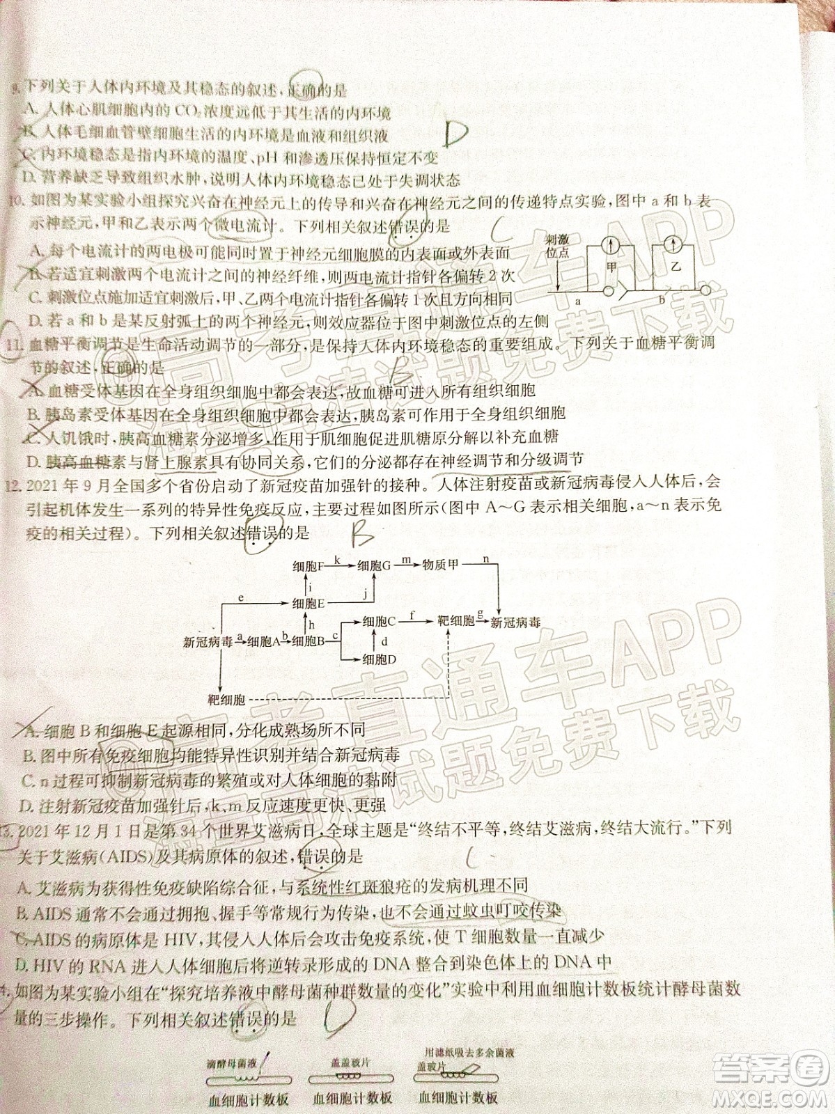 2022屆九師聯盟高三新高考12月質量檢測全國卷生物試題及答案