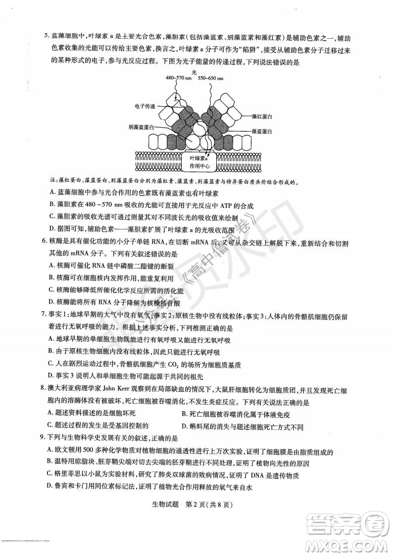 天一大聯考2021-2022學年上高三年級名校聯盟考試生物試題及答案