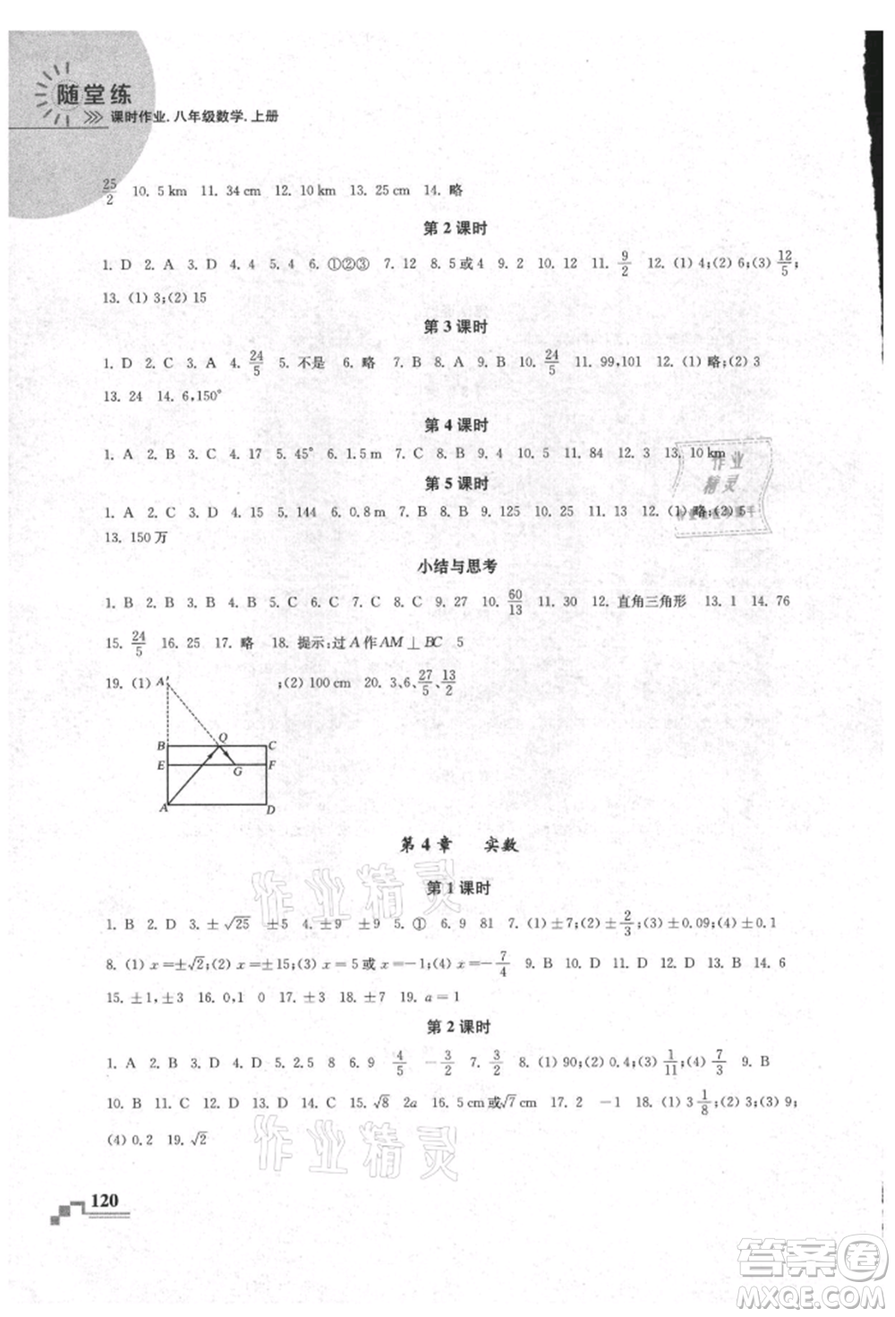 河海大學(xué)出版社2021隨堂練課時作業(yè)八年級數(shù)學(xué)上冊蘇科版參考答案