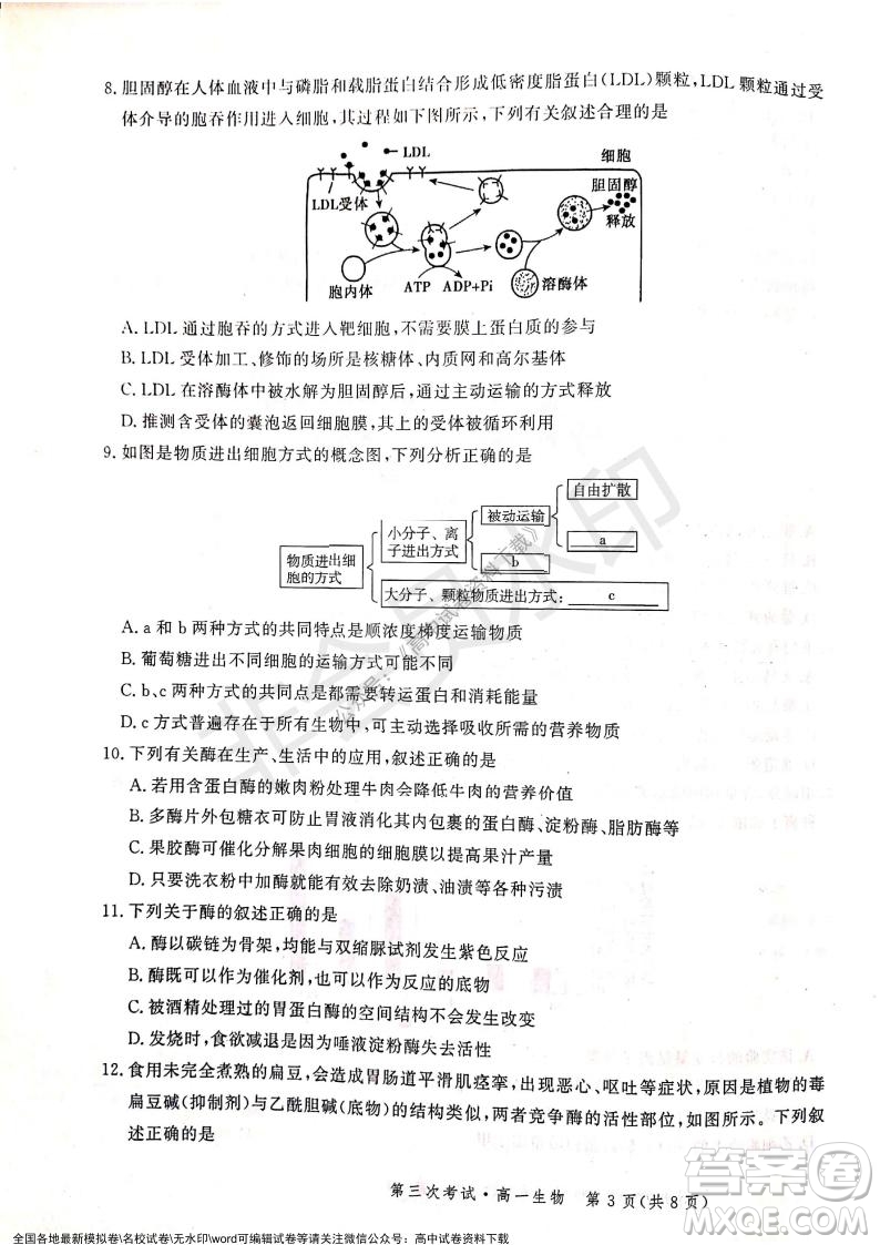 河北部分學校2021-2022上學期第三次月考高一生物試題及答案