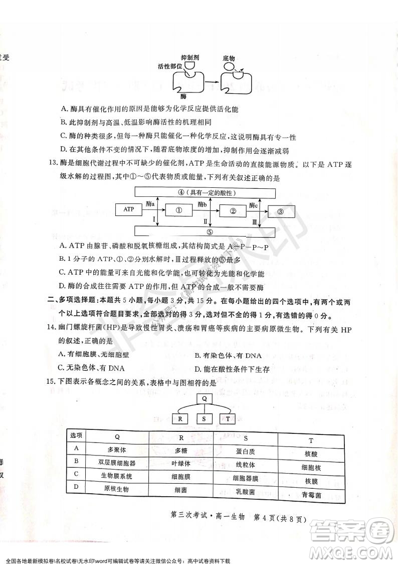 河北部分學校2021-2022上學期第三次月考高一生物試題及答案