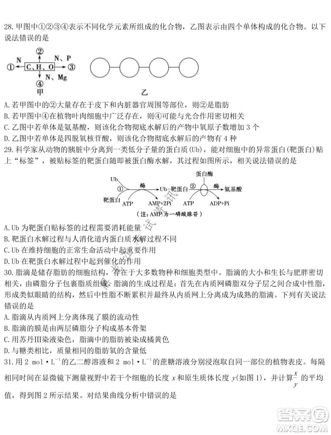 鐵人中學(xué)2021級(jí)高一學(xué)年上學(xué)期期末考試生物試題及答案