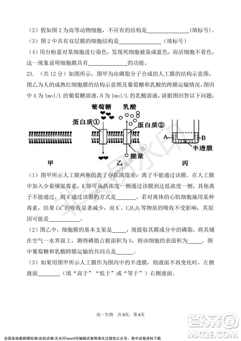 遼寧省2021-2022學(xué)年度上六校協(xié)作體高一第三次考試生物試題及答案