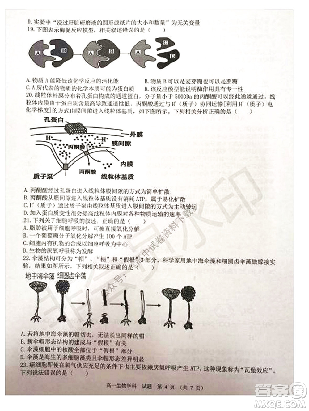 2021學(xué)年第一學(xué)期浙江省精誠(chéng)聯(lián)盟12月聯(lián)考高一生物試題及答案