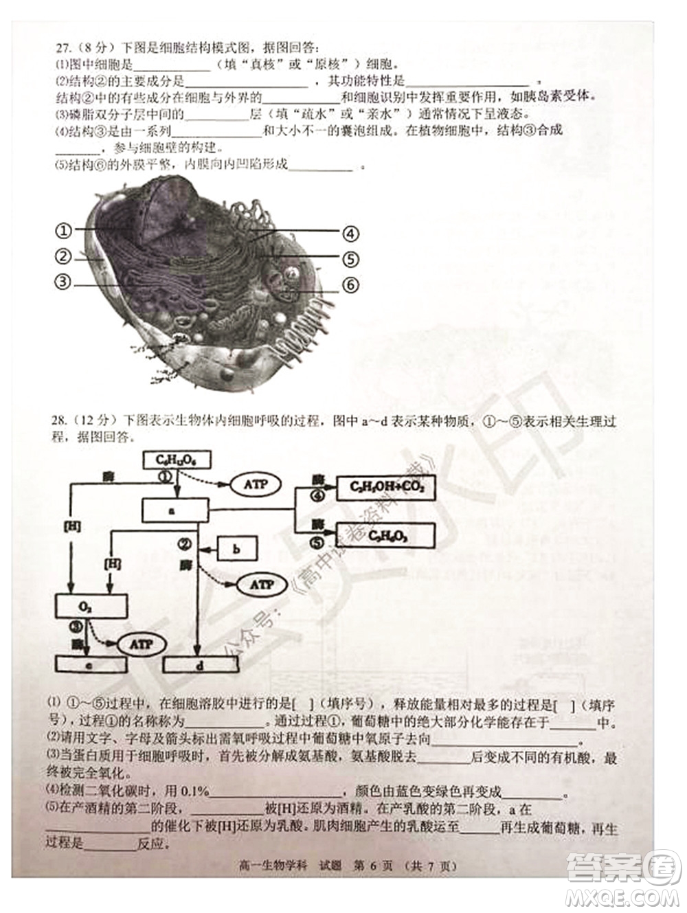 2021學(xué)年第一學(xué)期浙江省精誠(chéng)聯(lián)盟12月聯(lián)考高一生物試題及答案