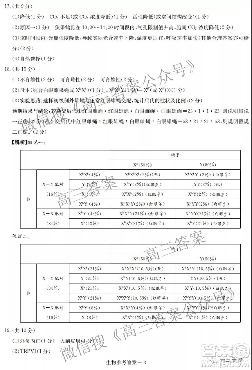 T8聯(lián)考2022屆高三第一次八校聯(lián)考生物答案