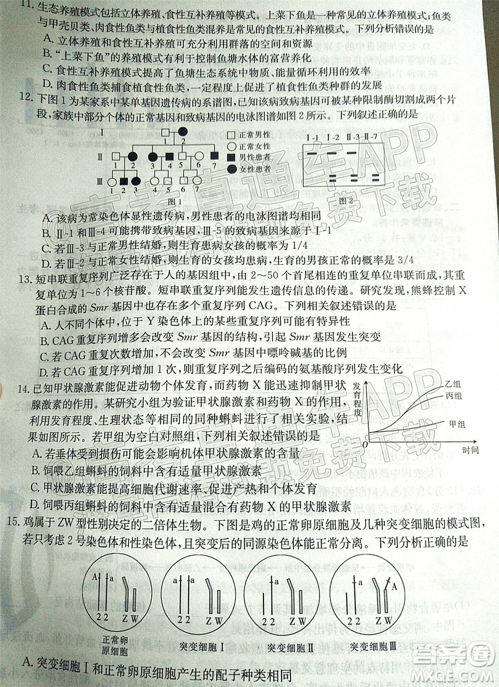 2022屆廣東金太陽高三12月聯(lián)考生物試題及答案