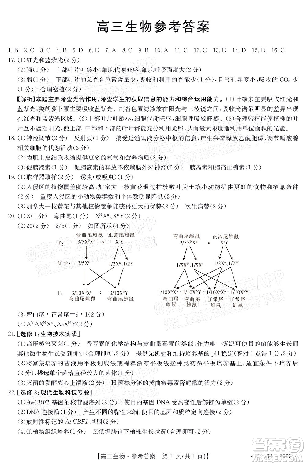 2022屆廣東金太陽高三12月聯(lián)考生物試題及答案