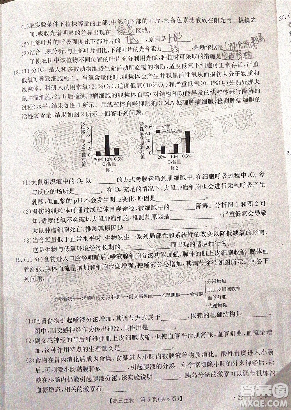 2022屆湖南金太陽高三12月聯(lián)考生物試題及答案