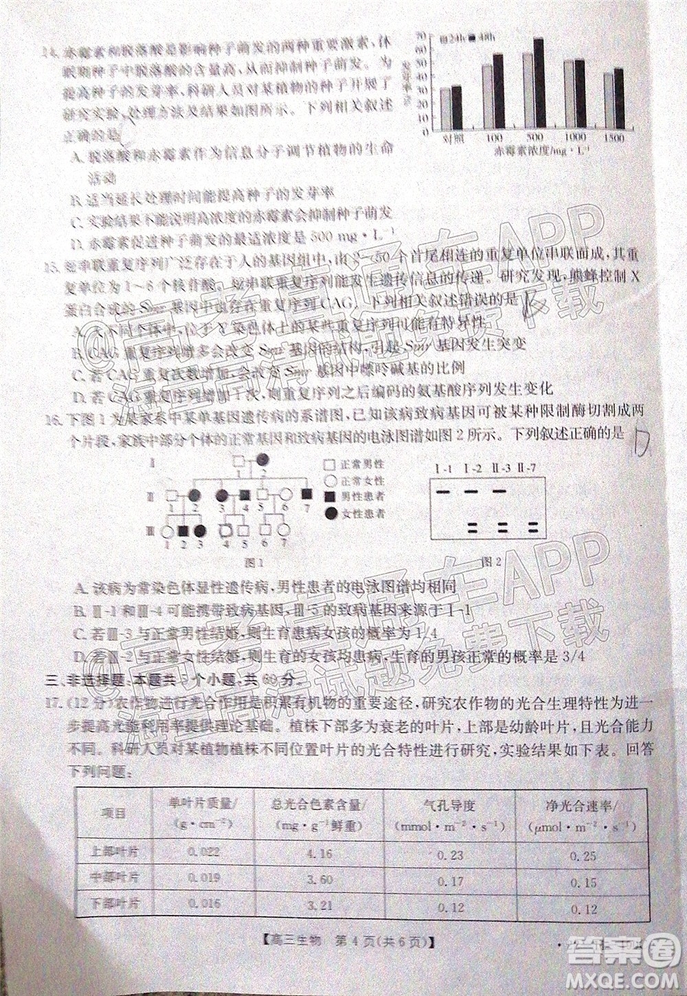 2022屆湖南金太陽高三12月聯(lián)考生物試題及答案