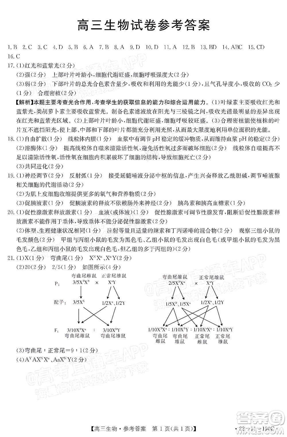 2022屆湖南金太陽高三12月聯(lián)考生物試題及答案