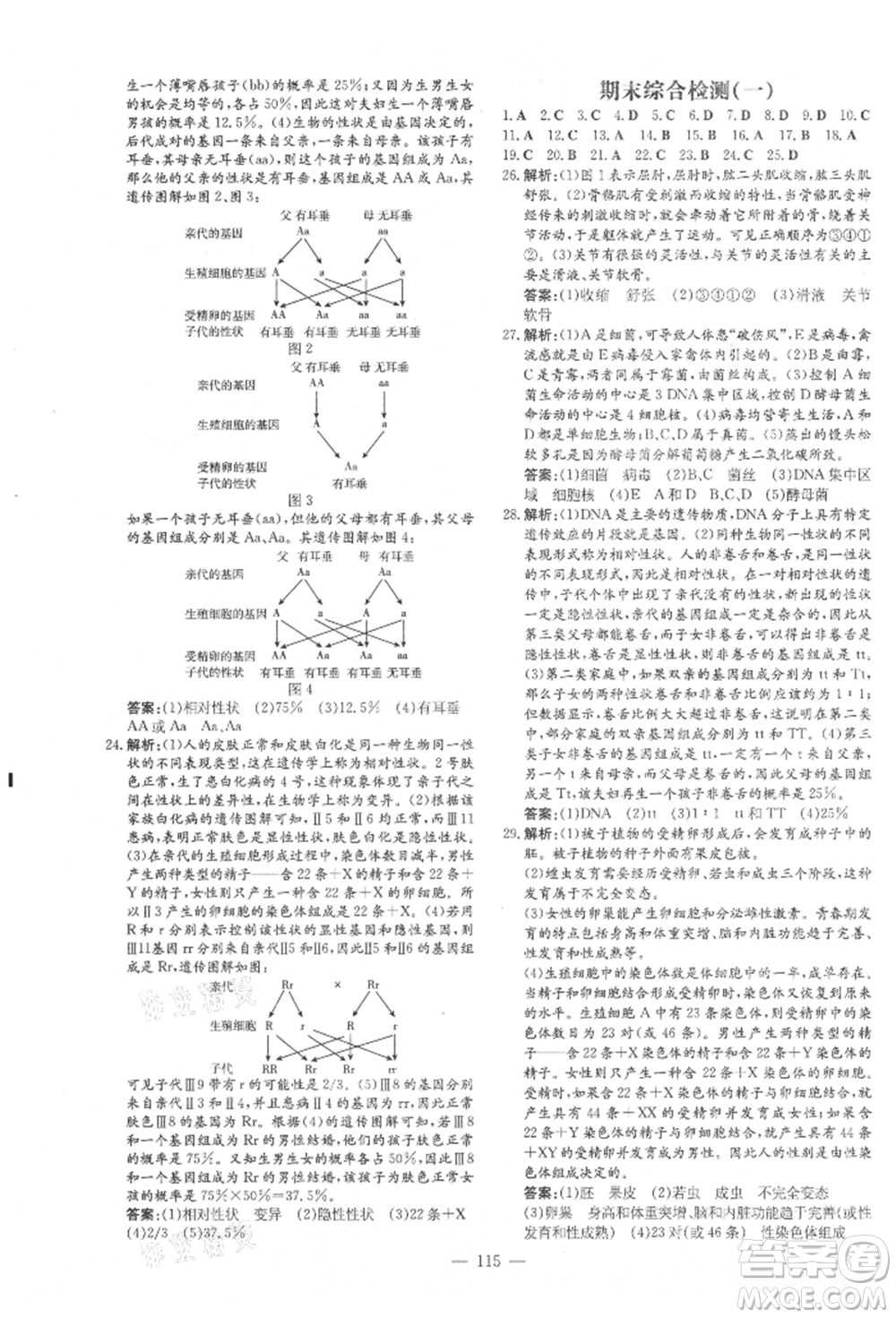 吉林教育出版社2021練案課時(shí)作業(yè)本八年級(jí)生物學(xué)上冊(cè)北師大版參考答案