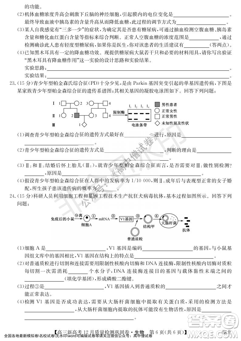 九師聯(lián)盟2021-2022學年高三新高考12月質量檢測鞏固卷湖北卷生物試題及答案