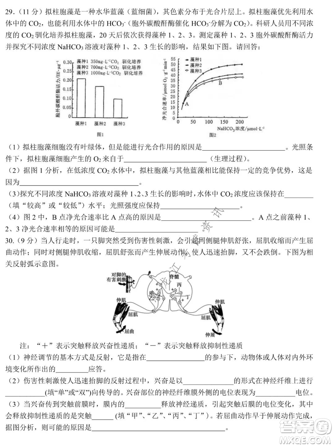 哈爾濱市第九中學2021-2022學年度上學期期末考試高三理科綜合試題及答案