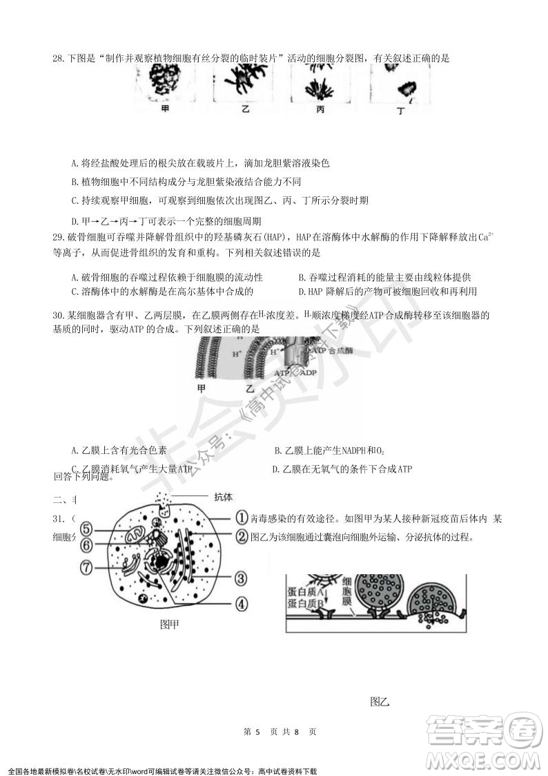 2021年浙江山河聯(lián)盟高一上學(xué)期12月聯(lián)考生物試題及答案