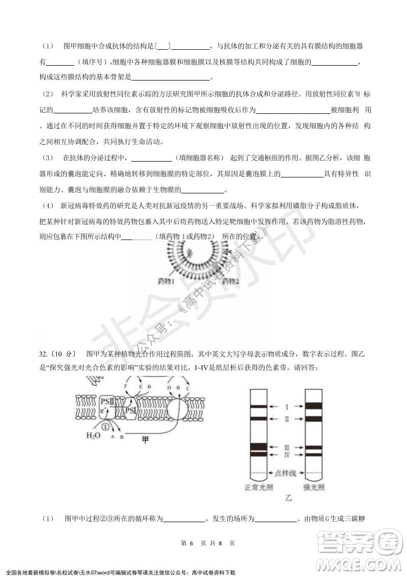 2021年浙江山河聯(lián)盟高一上學(xué)期12月聯(lián)考生物試題及答案