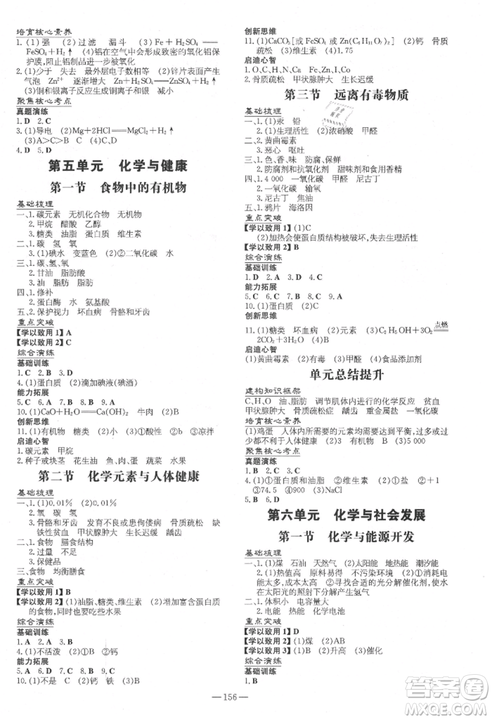 陜西人民教育出版社2021練案五四學(xué)制九年級化學(xué)魯教版參考答案