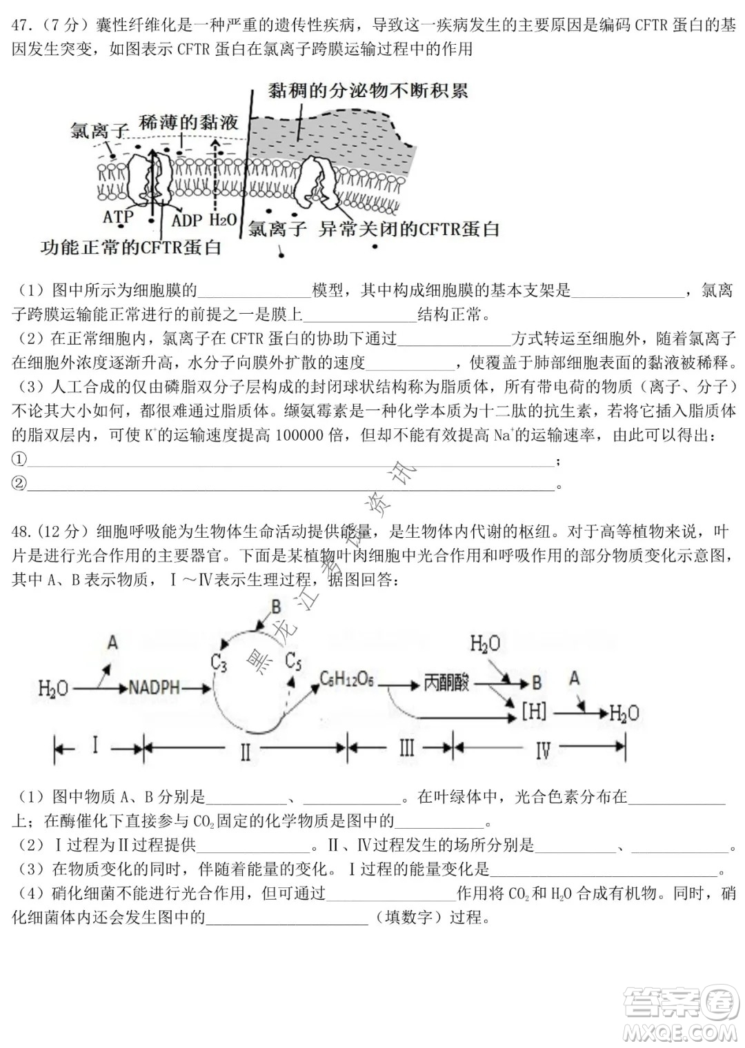 哈師大附中2021級(jí)高一上學(xué)期期末考試生物試題及答案