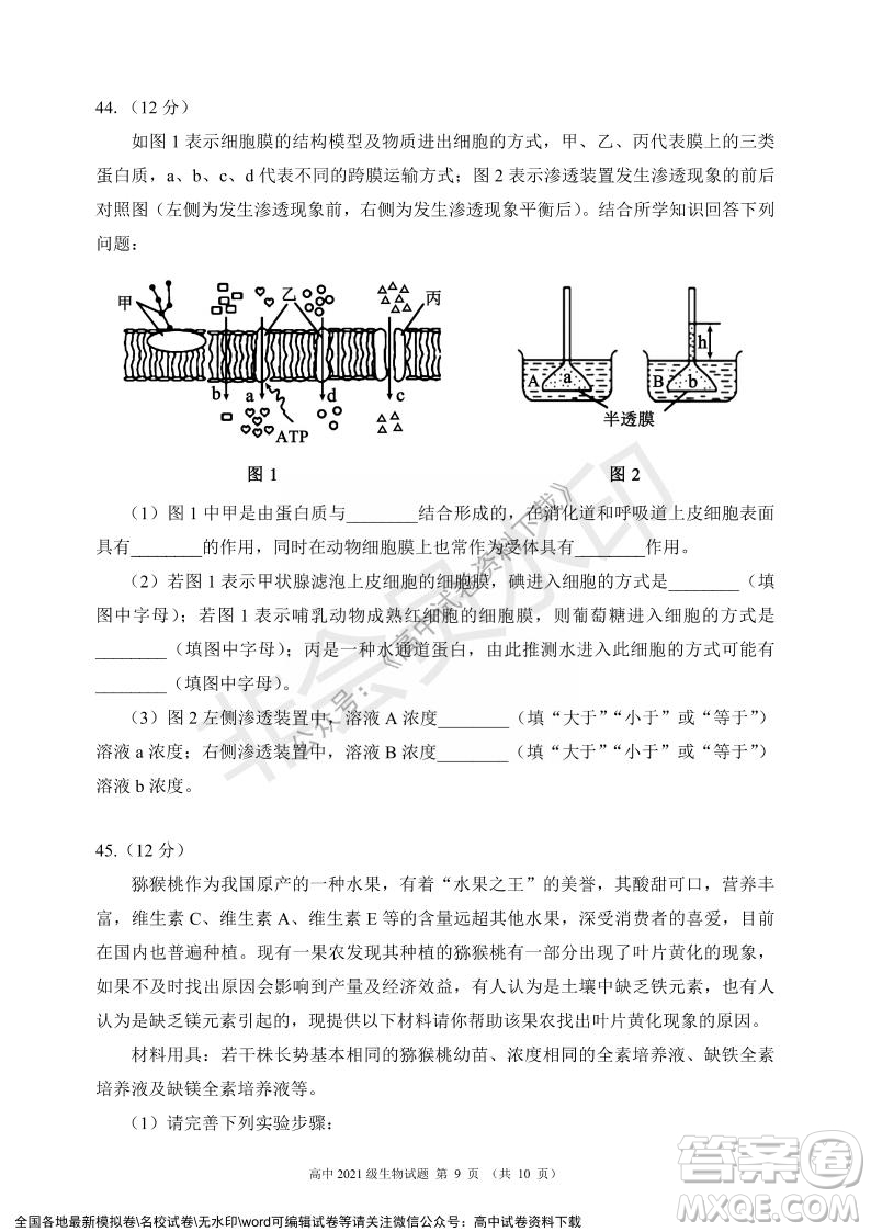 蓉城名校聯(lián)盟2021-2022學(xué)年度上期高中2021級期末聯(lián)考生物試題及答案