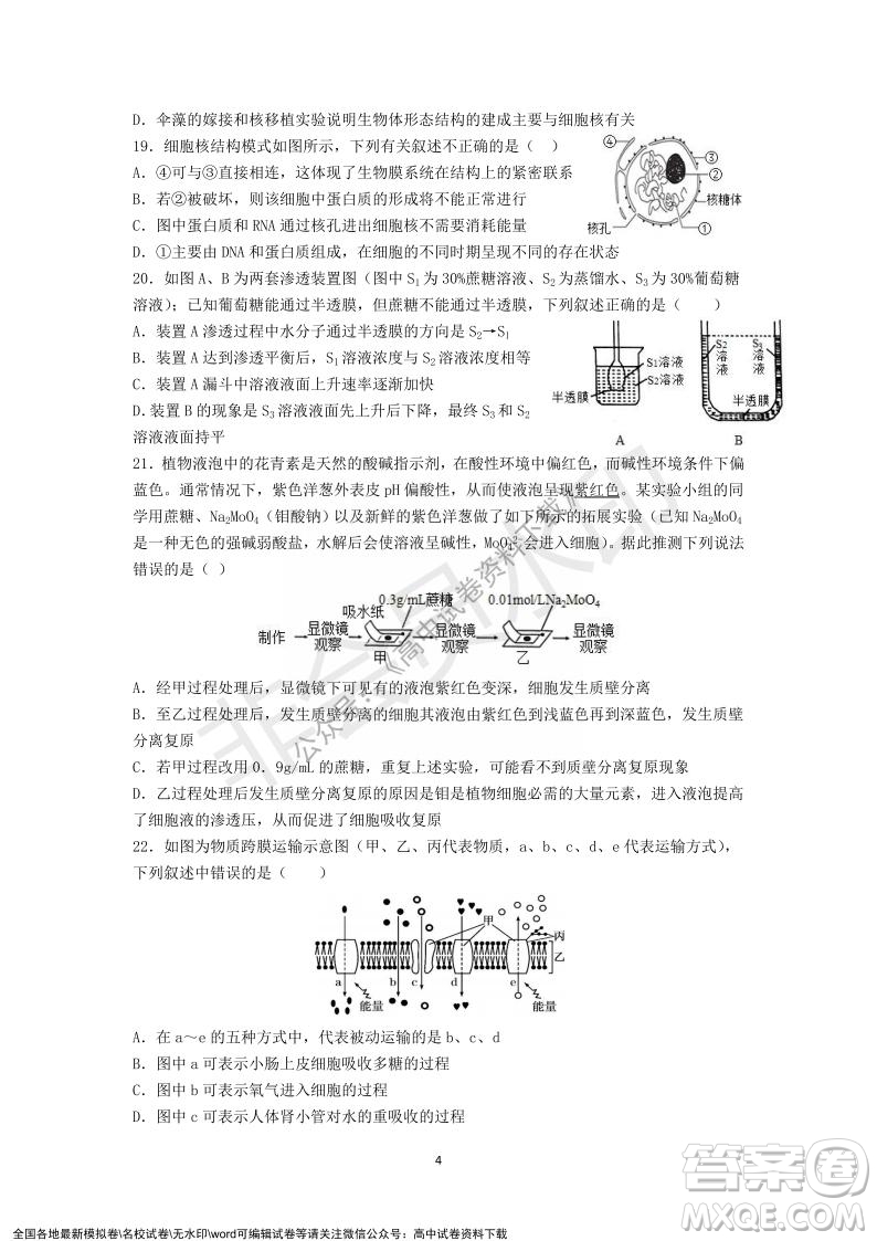 廣東省深圳實(shí)驗(yàn)學(xué)校2021-2022學(xué)年高一上學(xué)期第二階段考試生物試題及答案