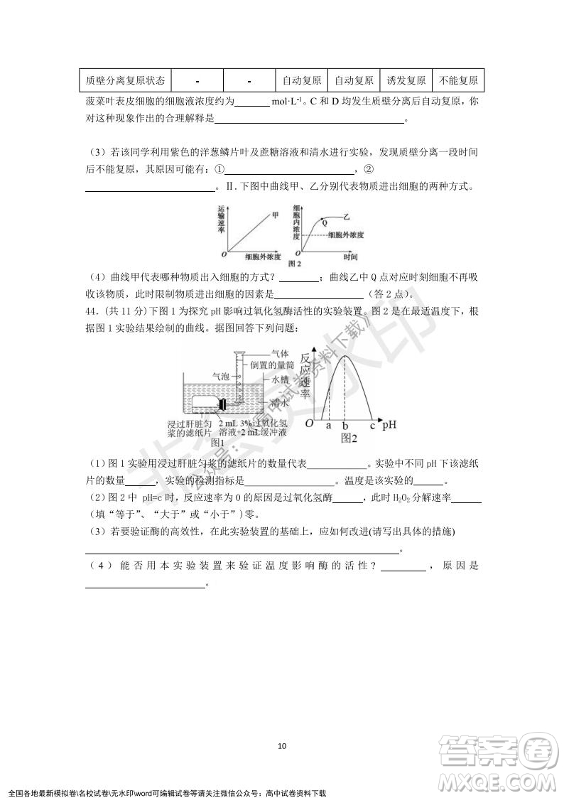 廣東省深圳實(shí)驗(yàn)學(xué)校2021-2022學(xué)年高一上學(xué)期第二階段考試生物試題及答案