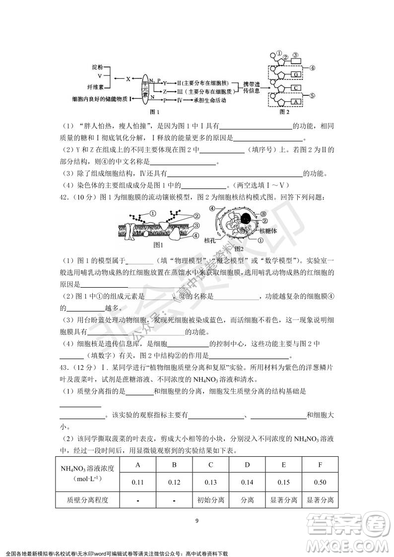 廣東省深圳實(shí)驗(yàn)學(xué)校2021-2022學(xué)年高一上學(xué)期第二階段考試生物試題及答案