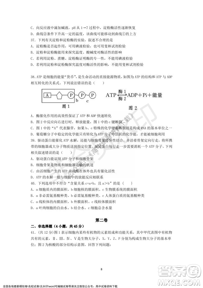 廣東省深圳實(shí)驗(yàn)學(xué)校2021-2022學(xué)年高一上學(xué)期第二階段考試生物試題及答案