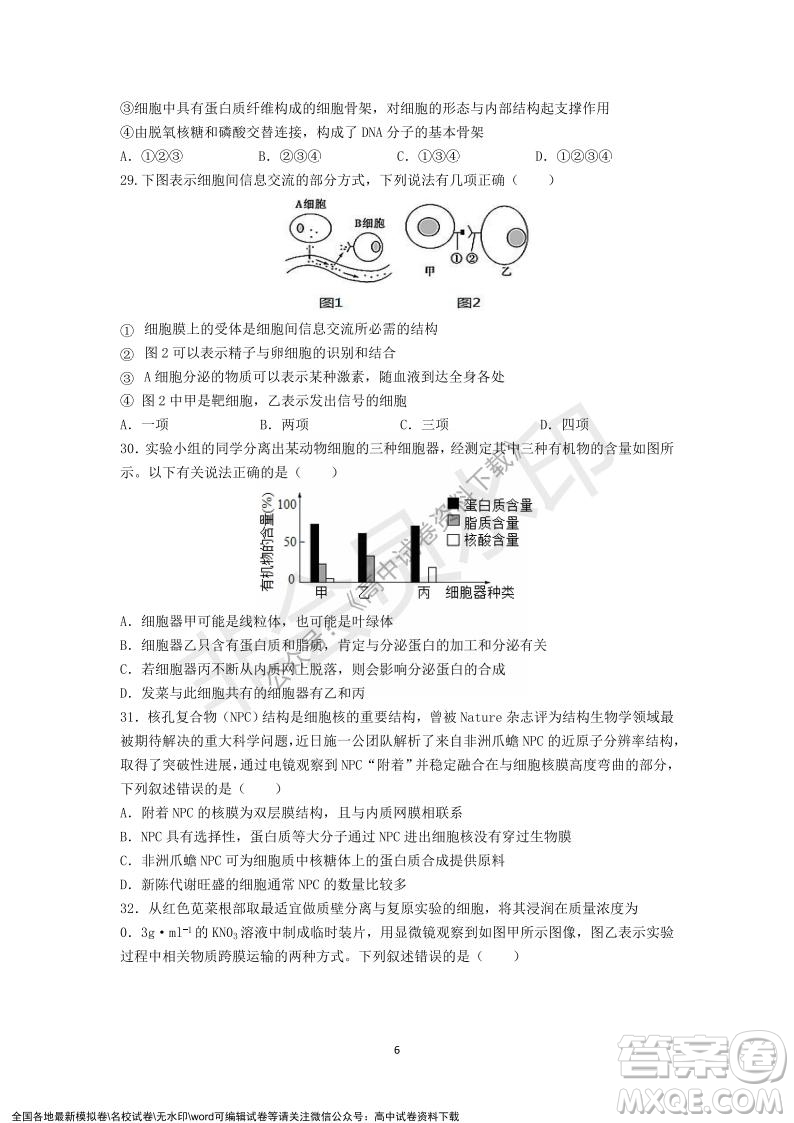 廣東省深圳實(shí)驗(yàn)學(xué)校2021-2022學(xué)年高一上學(xué)期第二階段考試生物試題及答案