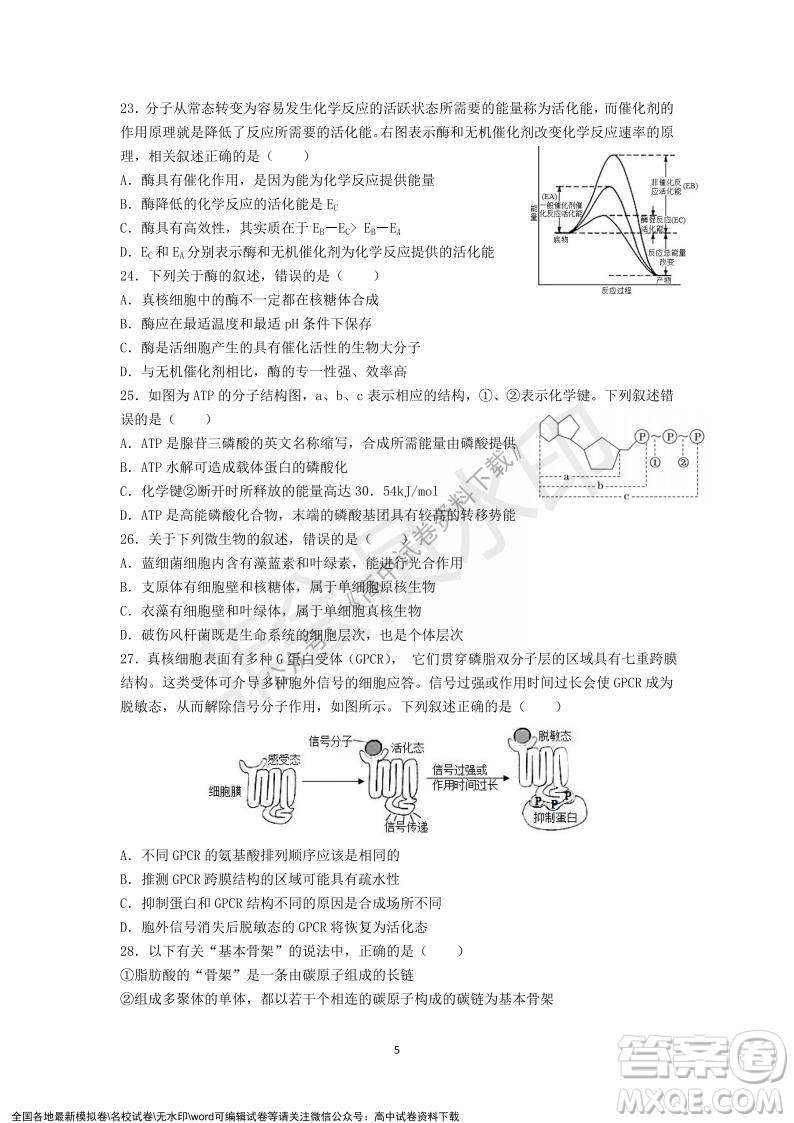 廣東省深圳實(shí)驗(yàn)學(xué)校2021-2022學(xué)年高一上學(xué)期第二階段考試生物試題及答案