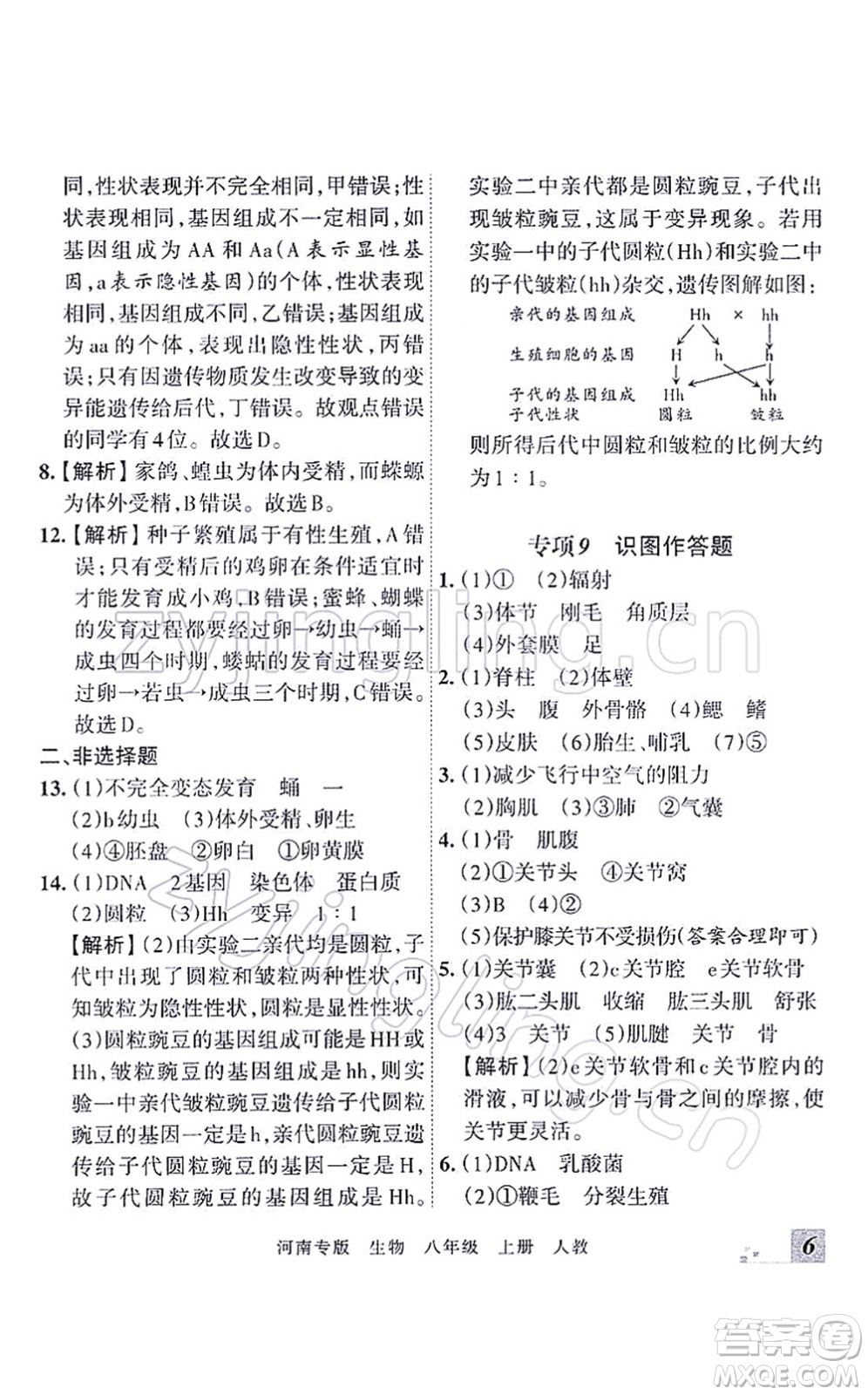 江西人民出版社2021王朝霞各地期末試卷精選八年級生物上冊RJ人教版河南專版答案