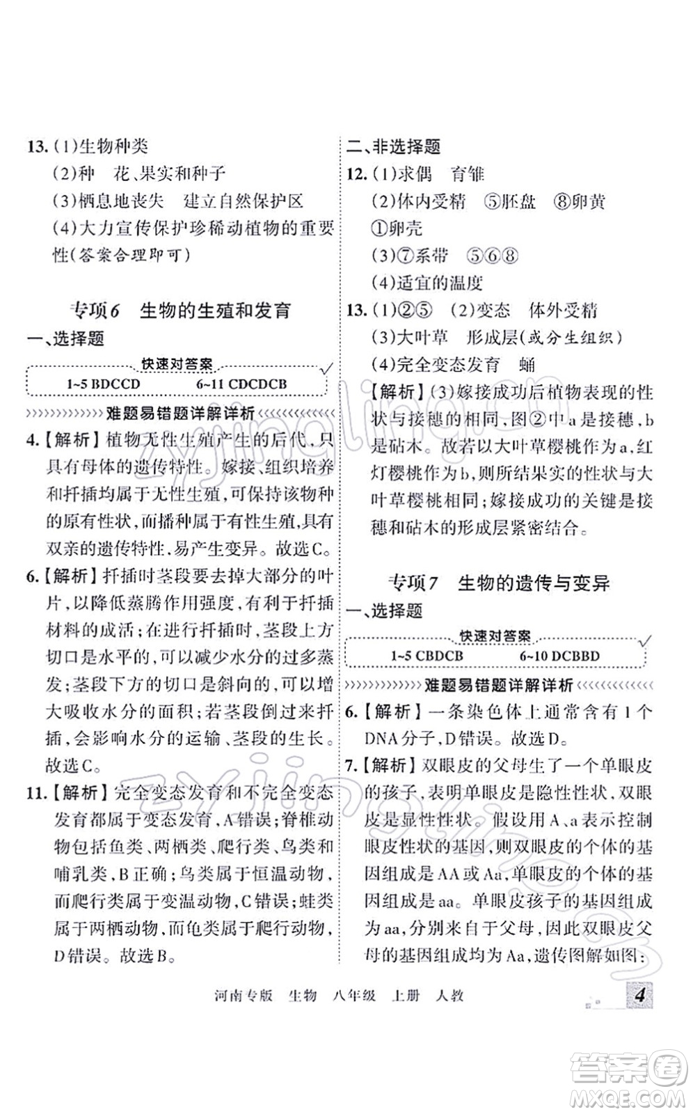 江西人民出版社2021王朝霞各地期末試卷精選八年級生物上冊RJ人教版河南專版答案