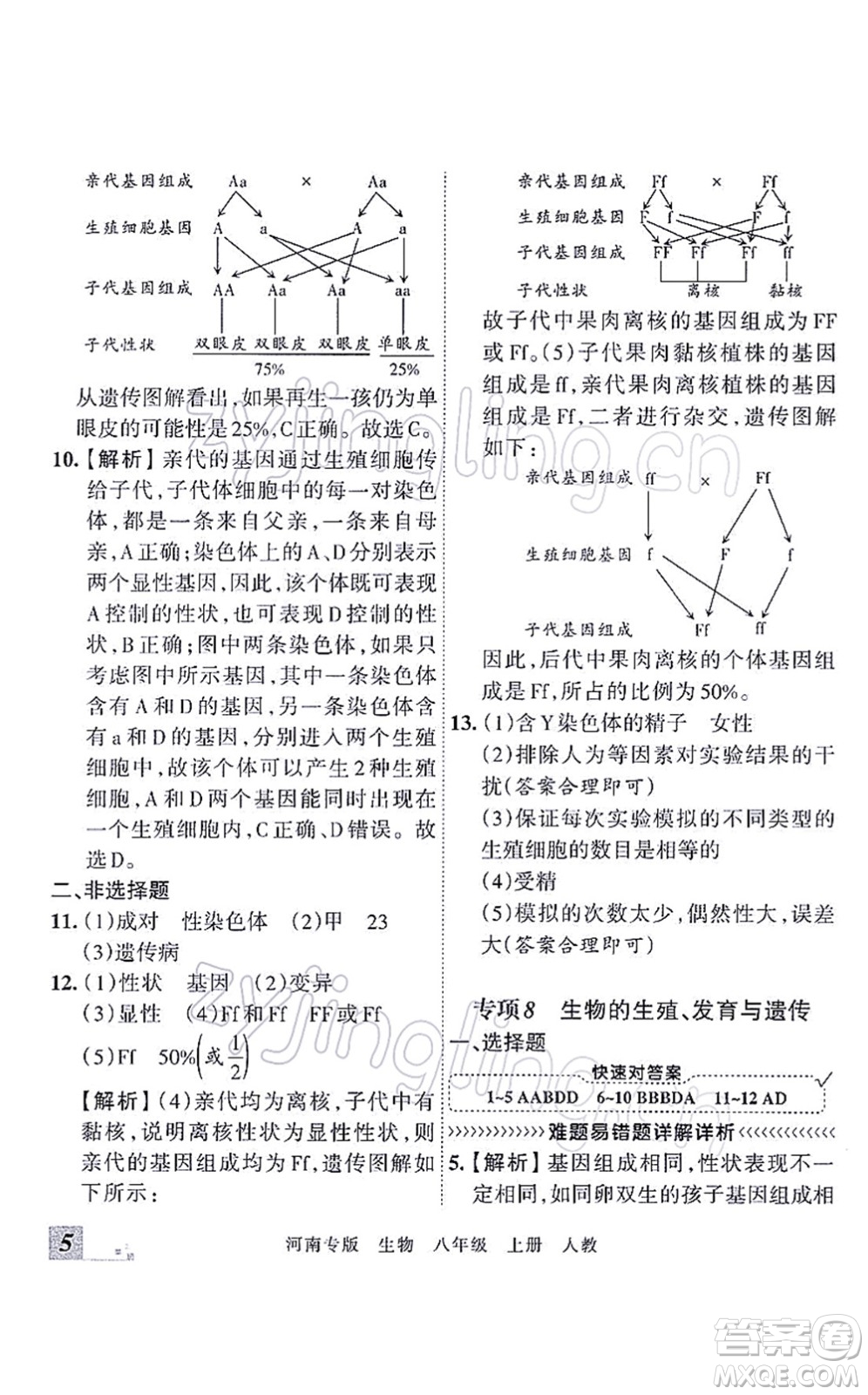 江西人民出版社2021王朝霞各地期末試卷精選八年級生物上冊RJ人教版河南專版答案