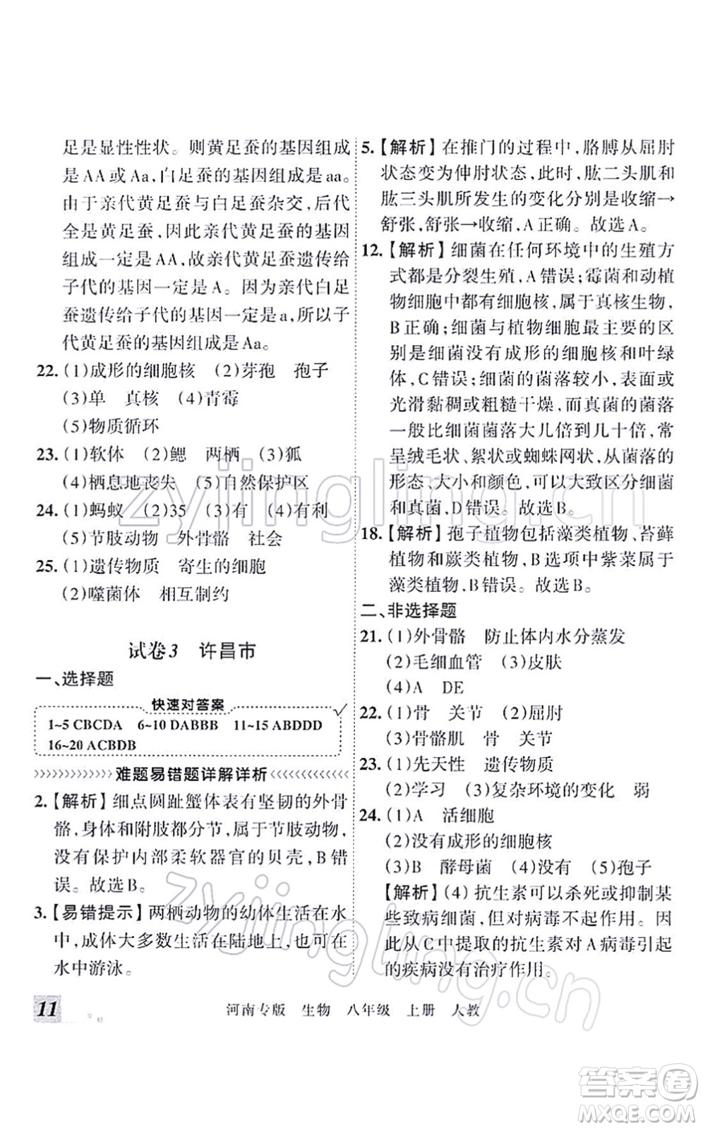 江西人民出版社2021王朝霞各地期末試卷精選八年級生物上冊RJ人教版河南專版答案