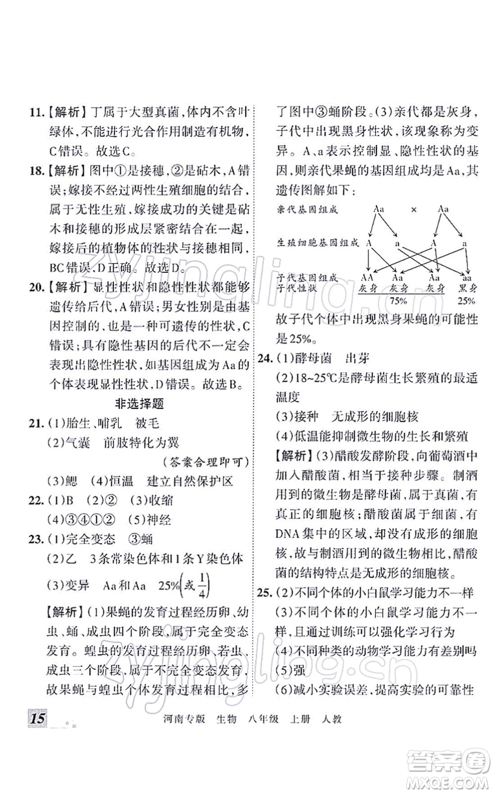 江西人民出版社2021王朝霞各地期末試卷精選八年級生物上冊RJ人教版河南專版答案