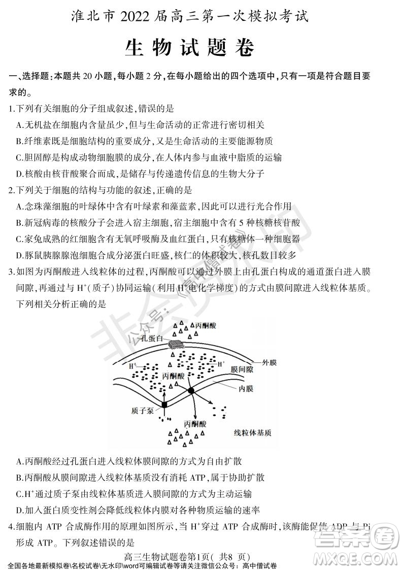 淮北市2022屆高三第一次模擬考試生物試卷及答案