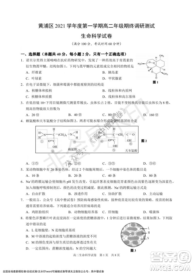 上海黃浦區(qū)2021學(xué)年度第一學(xué)期高三年級(jí)期終調(diào)研測(cè)試生命科學(xué)試題及答案