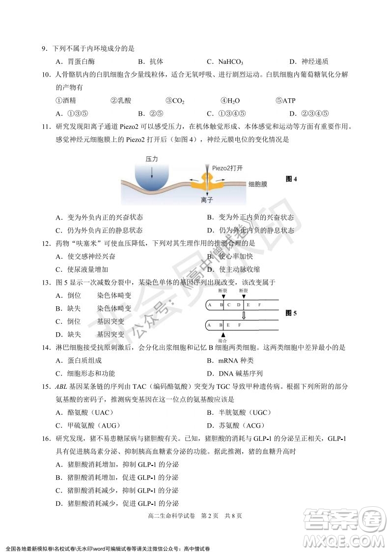 上海黃浦區(qū)2021學(xué)年度第一學(xué)期高三年級(jí)期終調(diào)研測(cè)試生命科學(xué)試題及答案