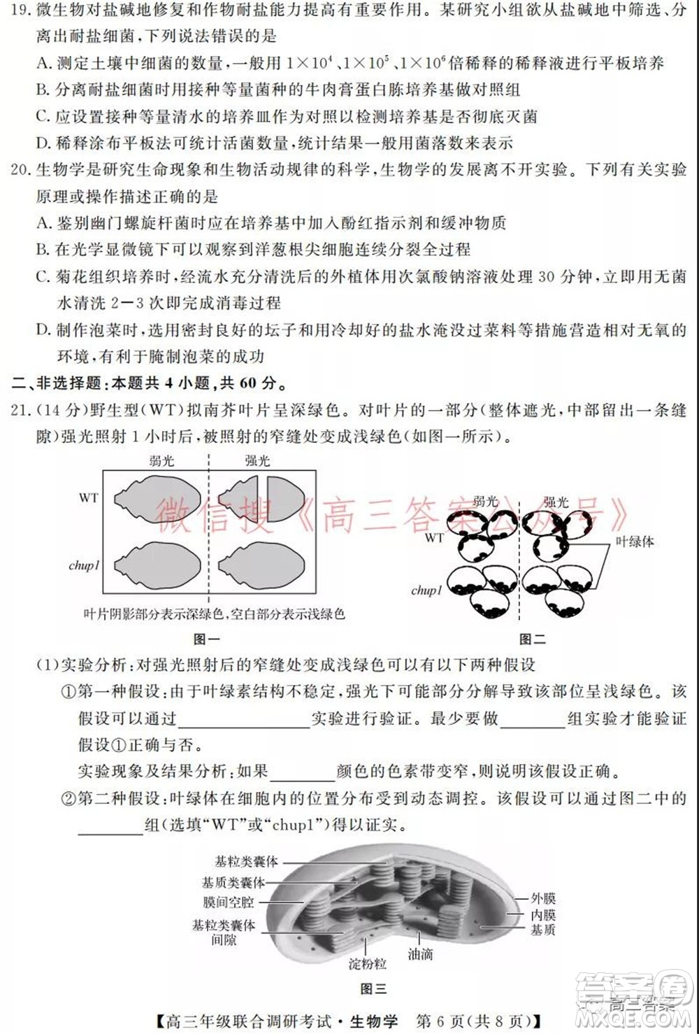 湖北省部分市州2022年元月高三年級(jí)聯(lián)合調(diào)研考試生物學(xué)試題及答案