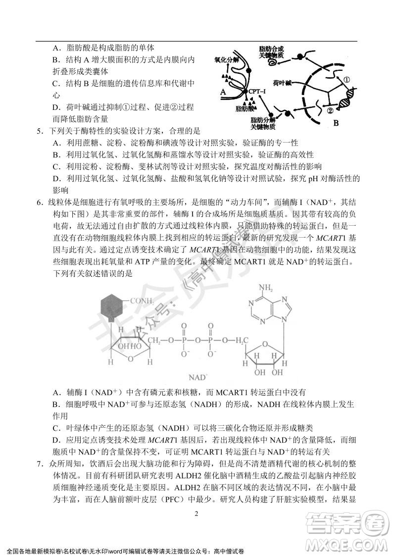 河南省名校聯(lián)盟2021-2022學(xué)年高三年級(jí)1月聯(lián)合考試生物試題及答案