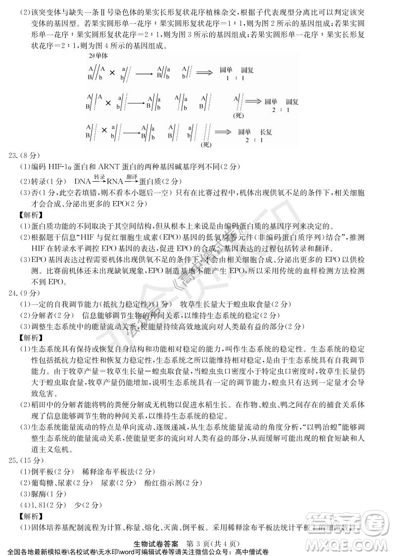 河南省名校聯(lián)盟2021-2022學(xué)年高三年級(jí)1月聯(lián)合考試生物試題及答案