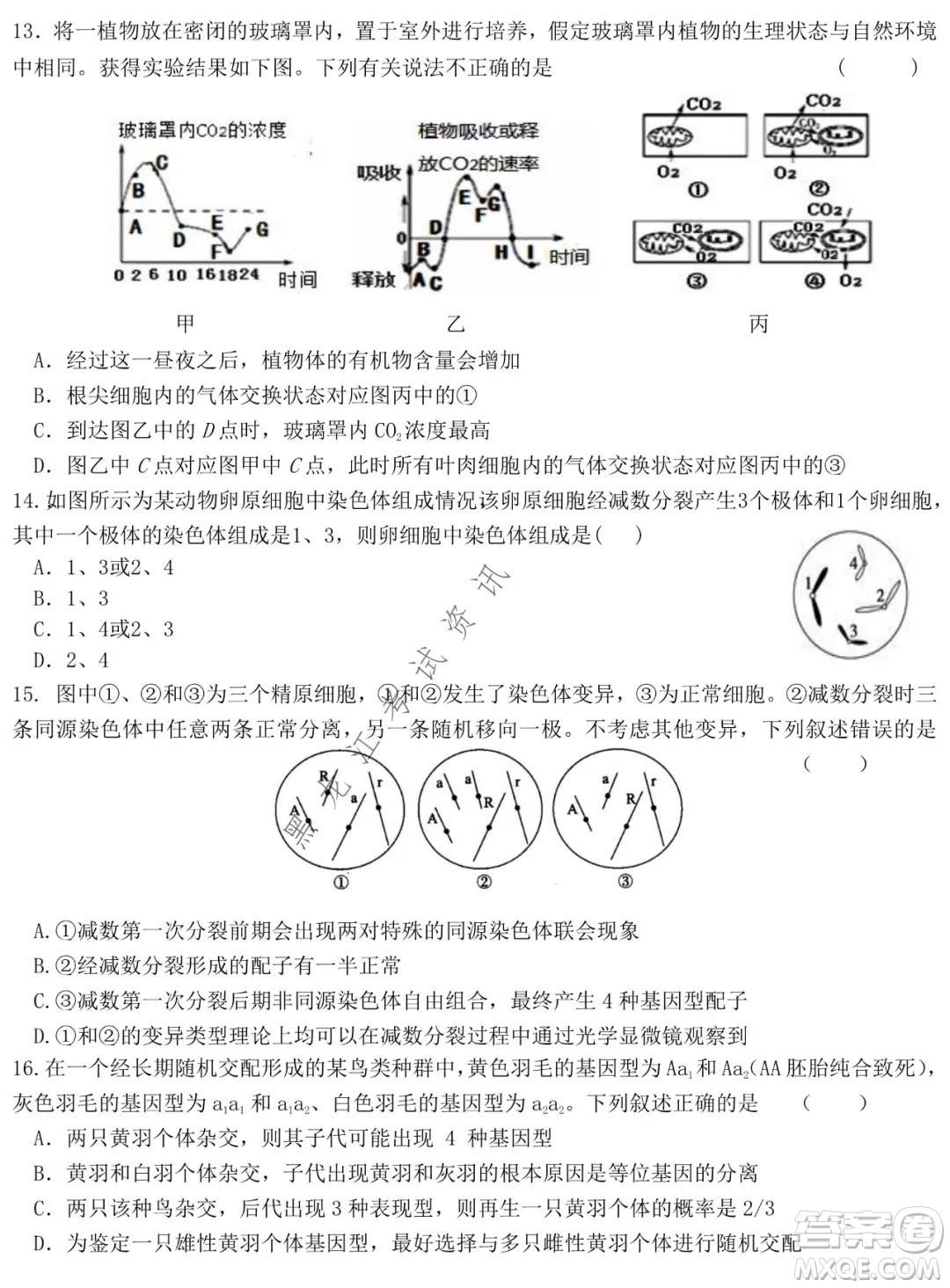 哈爾濱市第六中學2019級上學期期末考試高三生物試題及答案