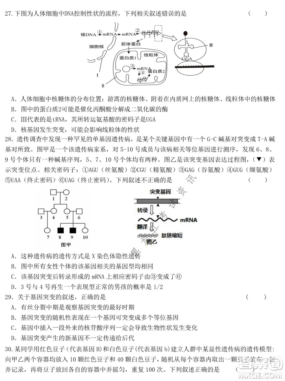 哈爾濱市第六中學2019級上學期期末考試高三生物試題及答案