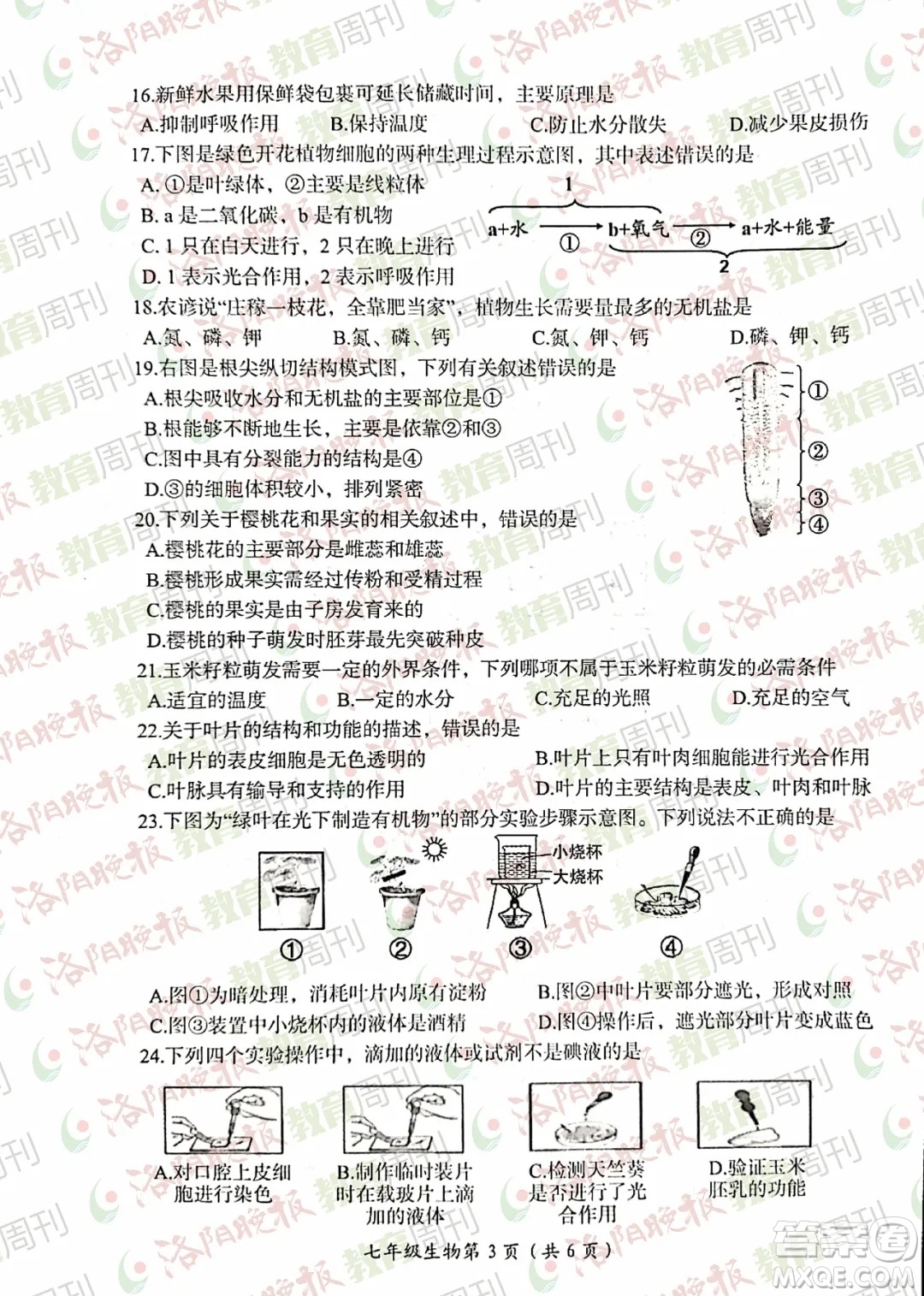 洛陽市2021-2022學(xué)年第一學(xué)期期末考試七年級(jí)生物試題及答案