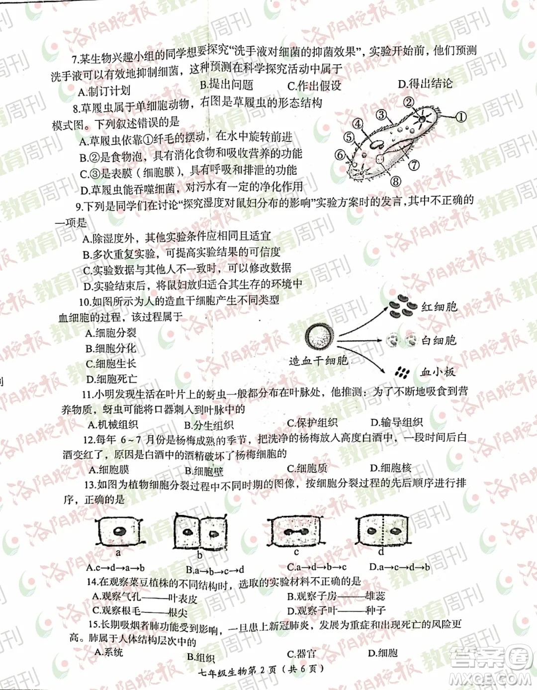 洛陽市2021-2022學(xué)年第一學(xué)期期末考試七年級(jí)生物試題及答案